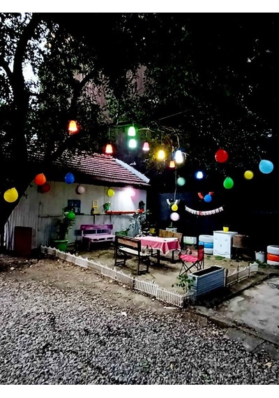 Bahçe Ağaç Feneri 12'li Set Dış Mekan Dekoratif Renkli Aydınlatma