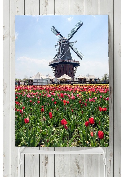 Hollanda Manzara Posteri 2