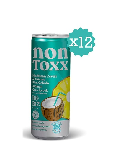 Nontoxx Hindistan Cevizi & Ananas Aromalı, Sirkeli, Gazlı İçecek 250 Ml
