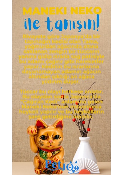 Petjoo 4.Maneki Neko Mavi-Sarı Qr'lı Kedi Künyesi