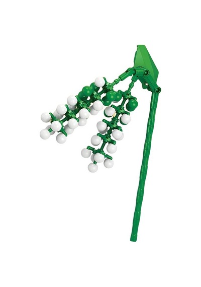 Ctoys Plant Series Florist Block Phytolacca Acinosa 8856 5