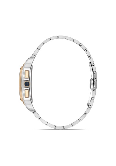 Momentus Men's Time Master Tm348t-02sg Gümüş - Altın