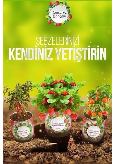 Buffer Konserve Bahçem Evde Konservede Sakız Kabak Yetiştirme Kiti