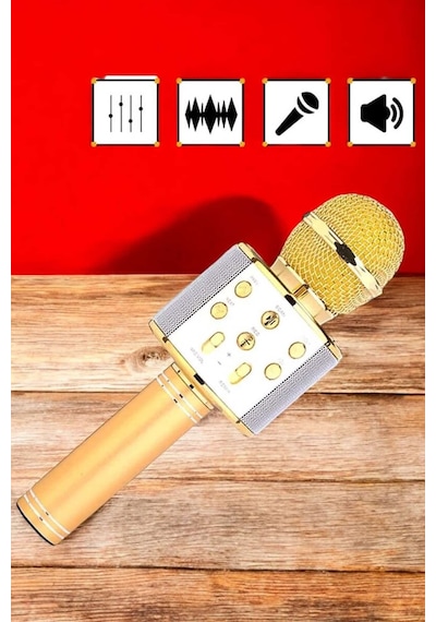 Şarjlı Ve Uzun Pil Ömürlü Karaoke Mikrofon Usb Bellek Destekli Profesyonel Ses Mh-hs1729-6864