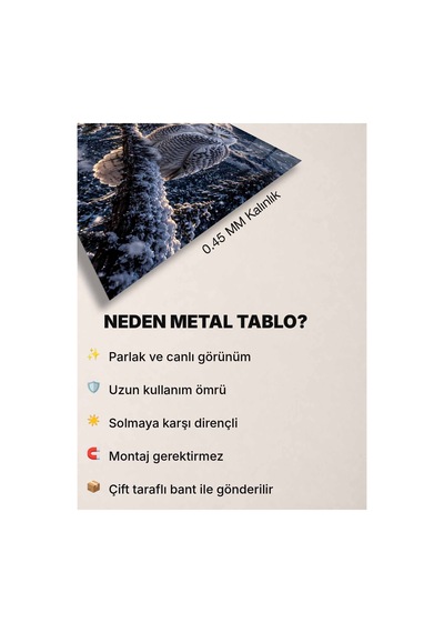 Kar Baykuşu Ve Dolunay Metal Tablo - Dekoratif Duvar Tablosu Çok Renkli - 929803433 Çok Renkli - 929803433 Çok Renkli