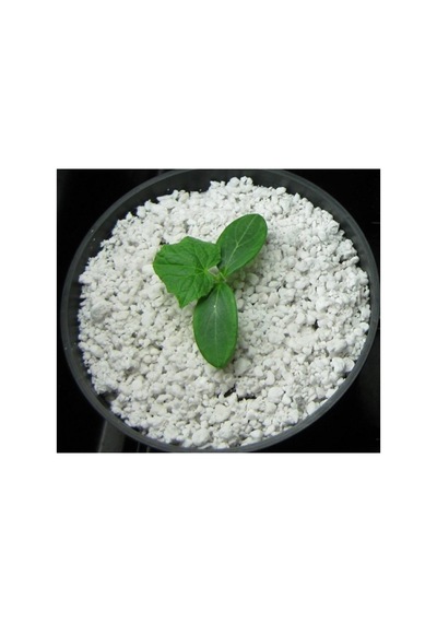 Perlit Tarım Perliti 80 Lt Köklendirme Steril 0.15 KG