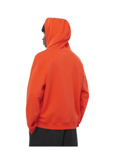 Salomon Worthy Hoodıe M Nnj0 Çok Renkli