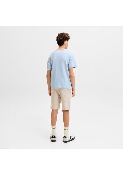 Jack&jones Jack Jones Çocuk Şort Gordon Archive Sweat Shorts Mid Çok Renkli