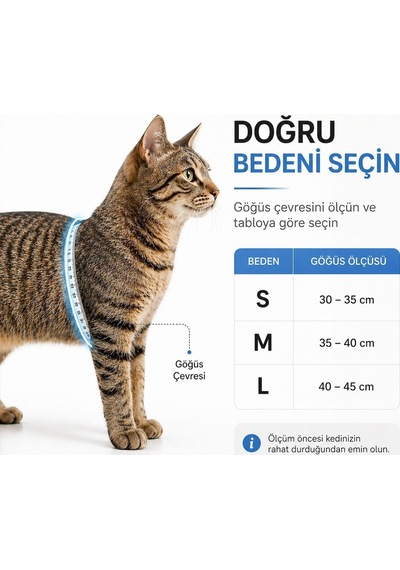3 Kat File Yeni Nesil Nefes Alabilen Kedi Göğüs Tasma 3'lü Set Siyah Siyah L
