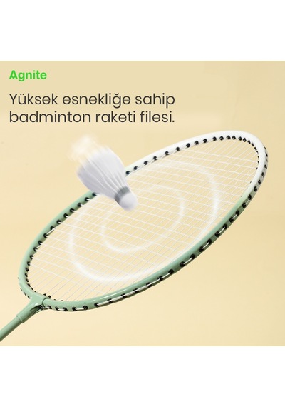 Agnıte Er501 Badminton Raketi Demir Alaşımlı Tekli Paket Mavi/yeşil