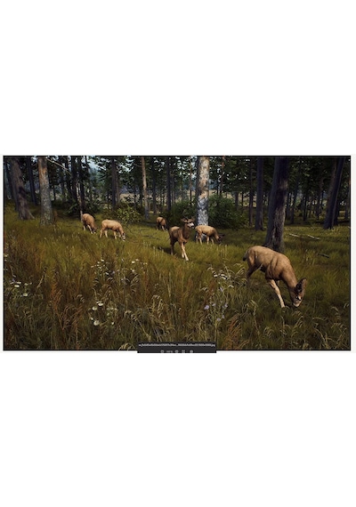 THQ Nordic Way Of The Hunter PS5