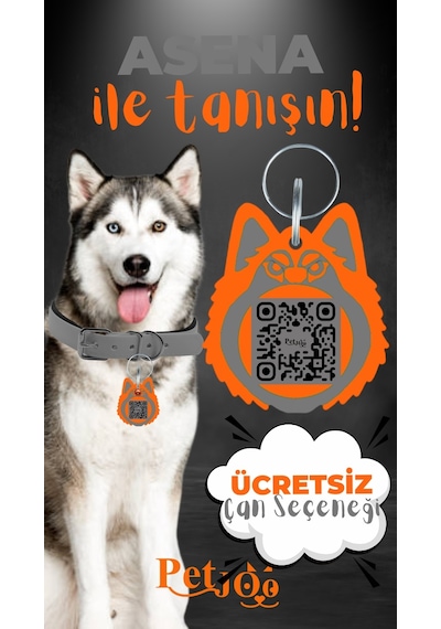 Petjoo 25.Asena Turuncu-Gri Qr'lı Köpek Künyesi