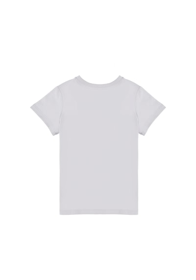 U.S. Polo Assn. Erkek Çocuk Açık Gri Basic Bisiklet Yaka Tişört 50306514-VR001 U.S. Polo Assn. Erkek Çocuk Açık Gri Basic Bisiklet Yaka Tişört 50306514-VR001