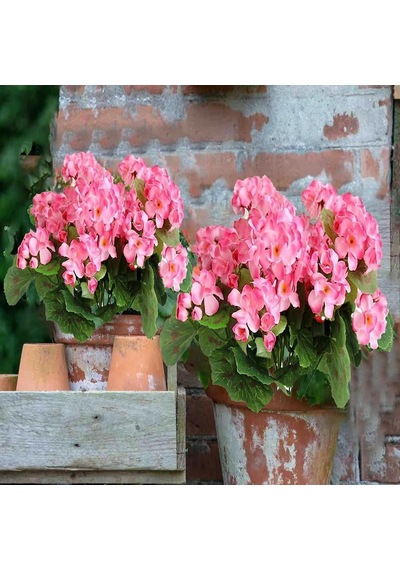 Yapay Çiçek Sardunya Demeti 40 25cm 1.kalite Pembe Balkon Çiçeği