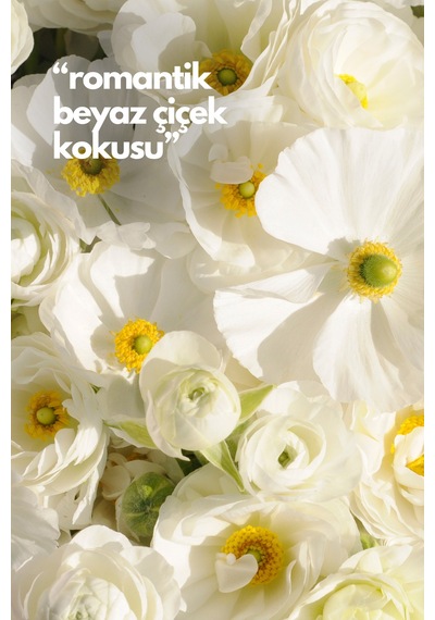 Nature's Scents White Flowers - Beyaz Çiçekler Oda Kokusu Yedek Makine Spreyi 250 Ml Diğer