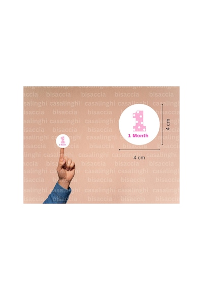 İngilizce 12 Aylık Bebek Etiketi 1-12 Months Kız Çocuk Yeni Doğan Pembe Sticker 4 Cm 84 Adet Çok Renkli