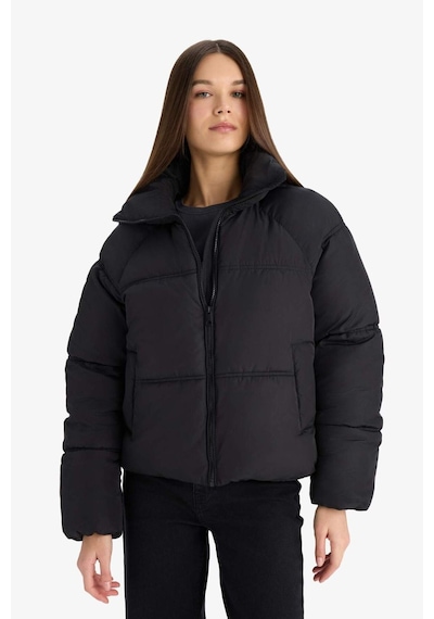 Defacto Su Geçirmez Regular Fit Dik Yaka Fermuarlı Şişme Mont E8690ax25aubk27 Siyah