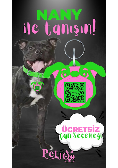 Petjoo 17.Nany Pembe-Yeşil Qr'lı Köpek Künyesi