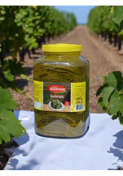 Tokat'lı Özseven Bağ Yaprağı 4750gr