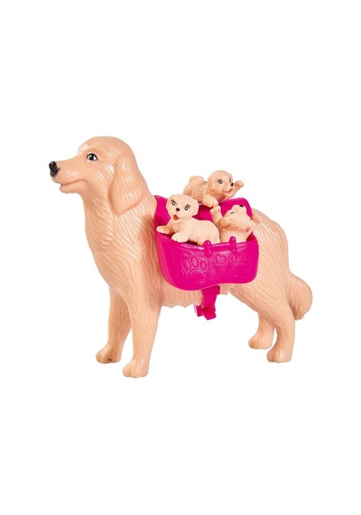 Evi Köpeği Ve 3 Yavrusu