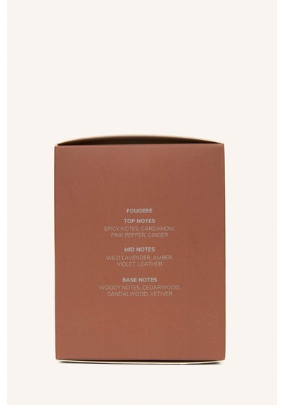 Defacto Erkek 100 ml Silent Storm Parfüm H0873AXNS
