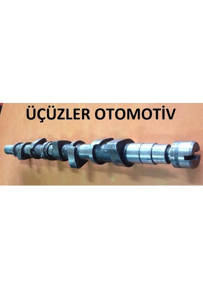 .1.9 Eksantrik Mili Kangoo Megane1 7700106678