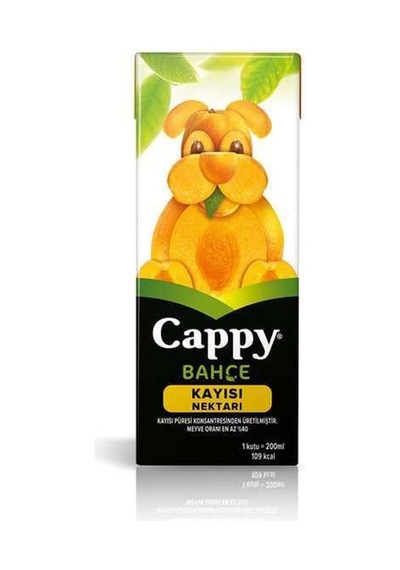 Kayısı Meyve Suyu 200 Ml.