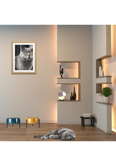 Evcil Hayvanlar İçin Seramik Mama-su Kabı Yüksekliği Ayarlanabilir Metal 3 Ayaklı Standı İle Sarı