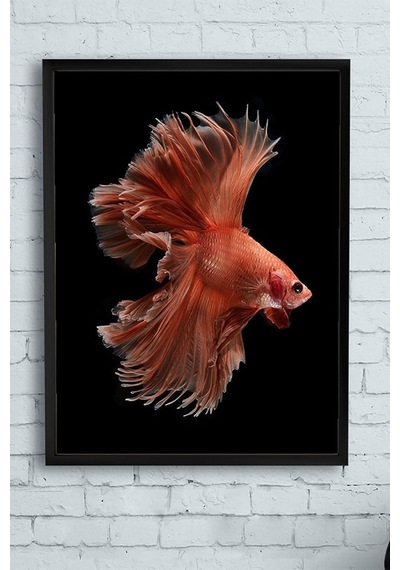 Tr Sanatsal Balık Hayvan Çerçeveli Tablo 50x70cm