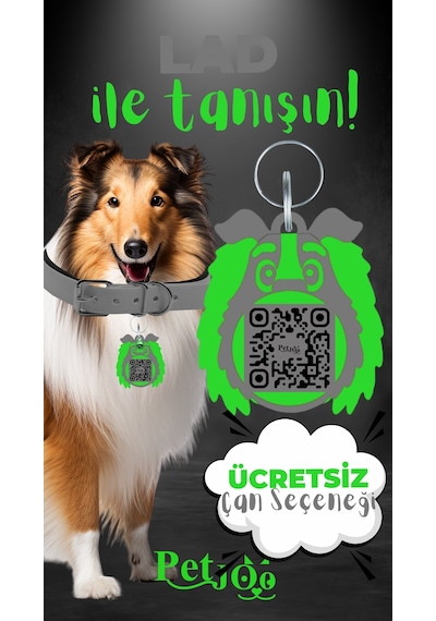 Petjoo 23.Lad Yeşil-Gri Qr'lı Köpek Künyesi