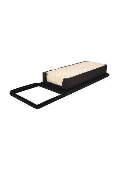 Filtron Hava Filtresi AP106/1