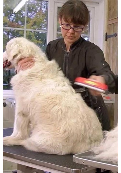 23 Kg Üzeri Uzun Tüylü Köpekler İçin Tüy Toplayıcı Ergonomik Tarak 4741