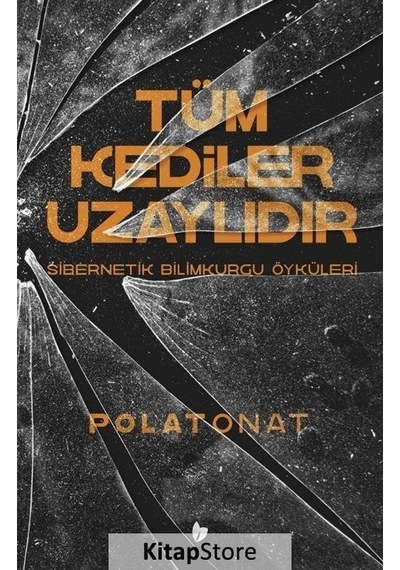 Tüm Kediler Uzaylıdır - Sibernetik Bilimkurgu Öyküleri - Polat Onat - Buğday Kitap