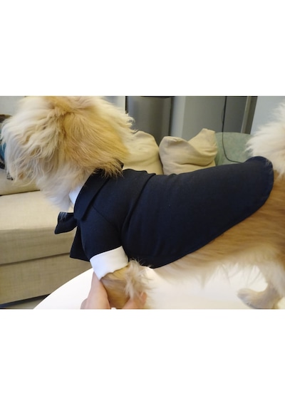 Gobo Papyonlu Smokin Damatlık Kedi Köpek Giyim Takım Elbise