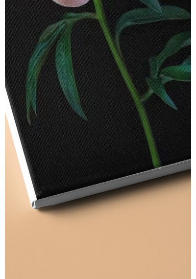 Webstyle Sayılarla Boyama Seti Kasnaklı Beyaz Şakayık 40 X 50 Cm