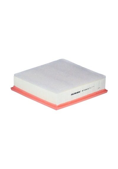 Ap120/8 - Hava Filtresi - Filtron