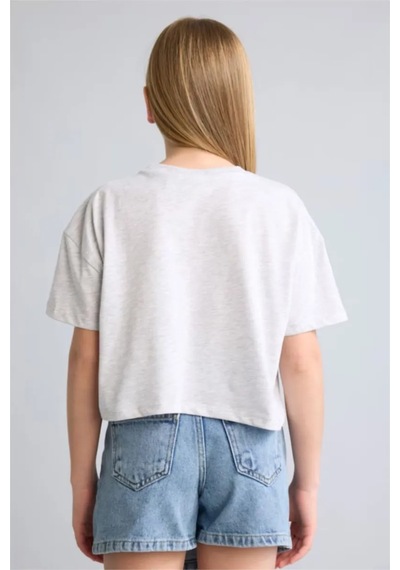 Defacto Kpop - Demon Hunters Cropped Fıt Bisiklet Yaka Kısa Kollu Tişört Kız Çocuk H9478a826hsgr421 Gri-gr421