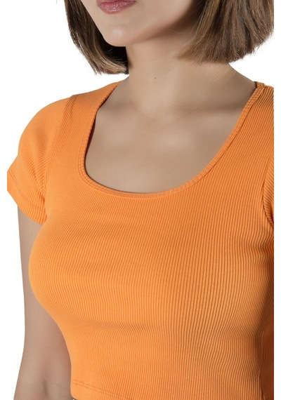Terapi Men 2'li Paket Beyaz Turuncu Havuz Yaka Fitted/vücuda Oturan Kısa Kol Crop Tişört Beyaz Turuncu Terapi Men 2'li Paket Beyaz Turuncu Havuz Yaka Fitted/vücuda Oturan Kısa Kol Crop Tişört Beyaz Turuncu