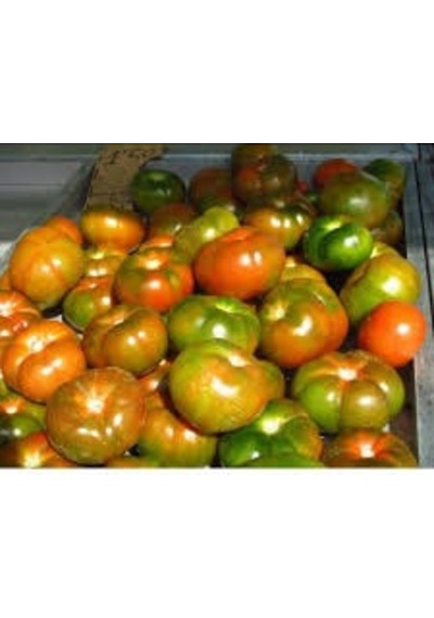Paket 300 Tohum Kokulu Yayla Domatesi Tohumu Domates Tohumu