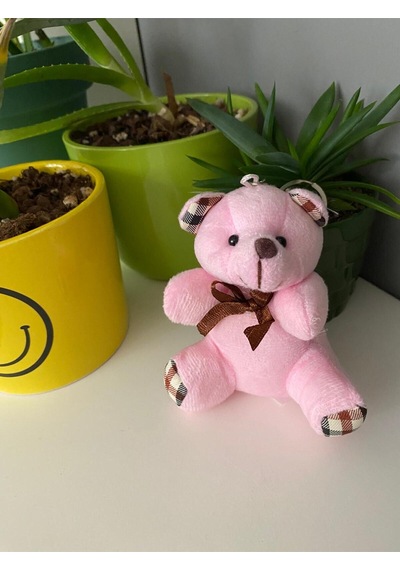 Ayıcık Figürlü Büyük Boy Peluş 4'li Anahtarlık
