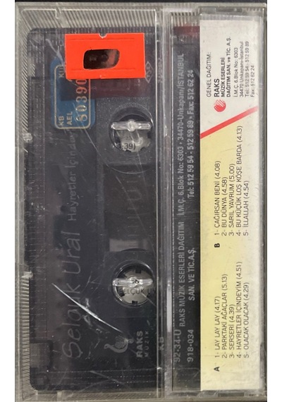 Plak Değildir Kaset Tir Selçuk Ural Hayretler İçindeyim Kaset