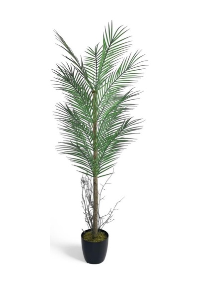 Yapay Ağaç Palmiye 135 50cm 20yaprak Areka Ağacı Siyah Saksıda Tek Gövdeli