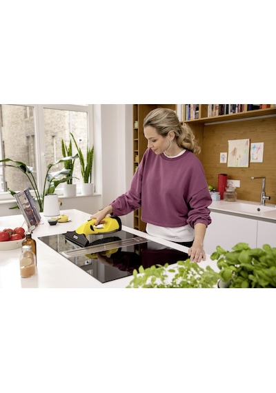 Karcher WV 2 Cam Silme & Temizleme Makinesi