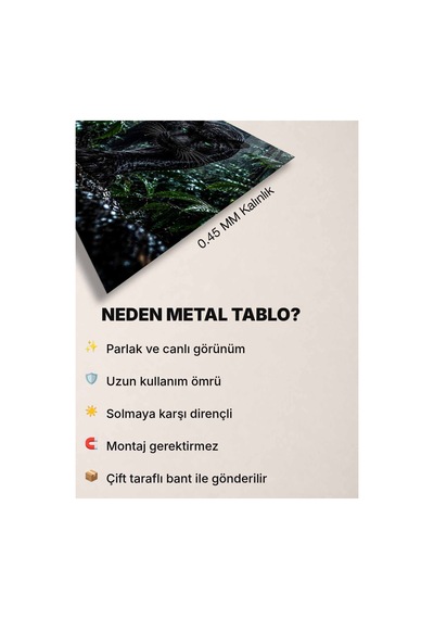 Kara Panter Metal Tablo - Dekoratif Duvar Tablosu Çok Renkli - 929803501 Çok Renkli - 929803501 Çok Renkli