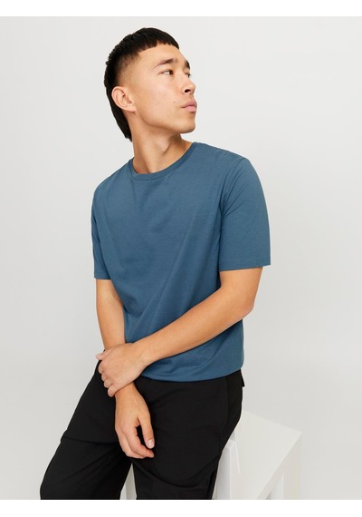 Jack & Jones Jjeorganıc Basıc Tee Ss O-neck Noos Oceanview Oceanview