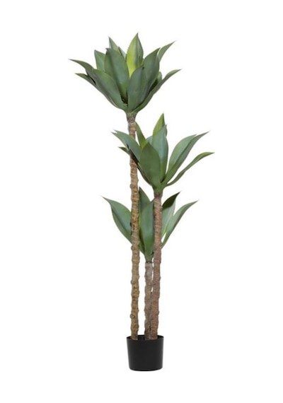 Yapay Ağaç Agave Ağacı 3Gövdeli 160 cm Premium Kalite