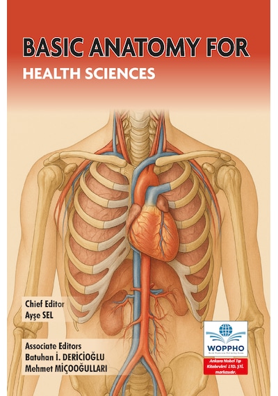 Basic Anatomy For Health Sciences