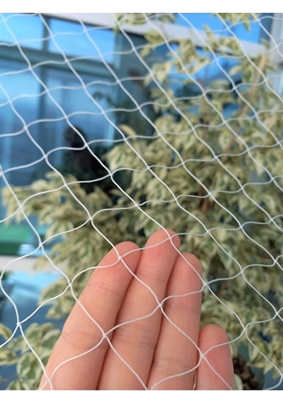 0kuşfilesi123 Kuş Önleme Filesi Kuş Filesi En 3 X 200 Metre - Bal