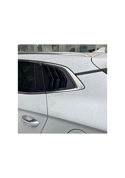 Red Lion Parts Byd Seal U Kelebek Cam Abs Karbon Fiber Kaplama