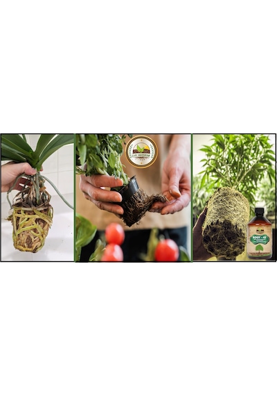Root-45 Köklendirici & Gelişim Destekleyici Sıvı Bitki Besini